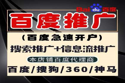 百度竞价代理的运营策略与成功案例分析